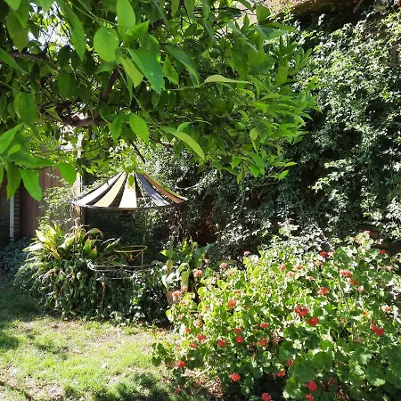 Tu Casa En El Centro Villa San Rafael  Exterior photo